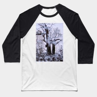 Sherwood Forest Baseball T-Shirt